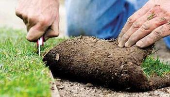 Laying Turf