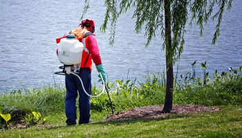 Weed Control