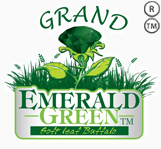 Grand Emerald Green – Soft Leaf Buffalo