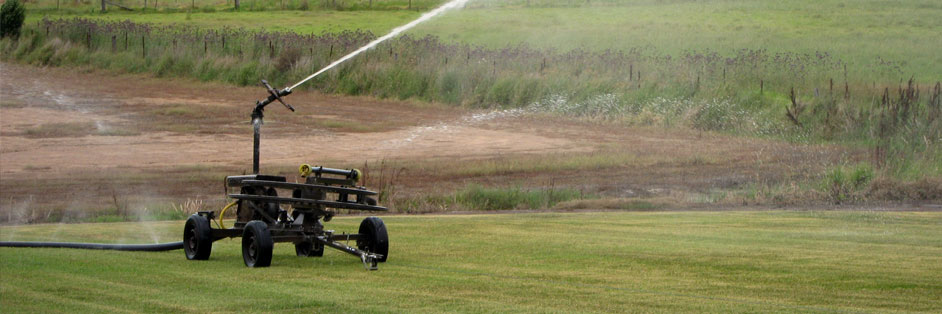 A Superior Grass Master