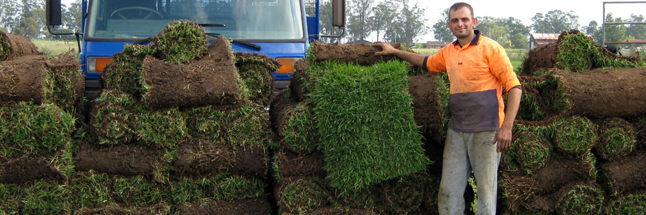 A Superior Grass Master